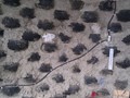 Electrical conduit will be buried in cement