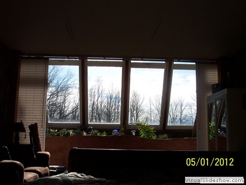 A room with a view!