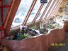 Kitchen garden is planted