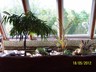 Other garden is planted as well