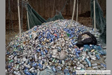 Collected pop cans for tire and interior walls