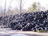 Sorted through 10,000 tires