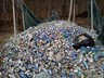 Collected pop cans for tire and interior walls
